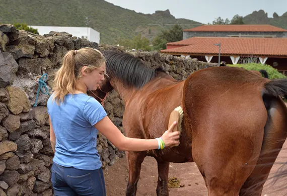 Bien-être du cavalier