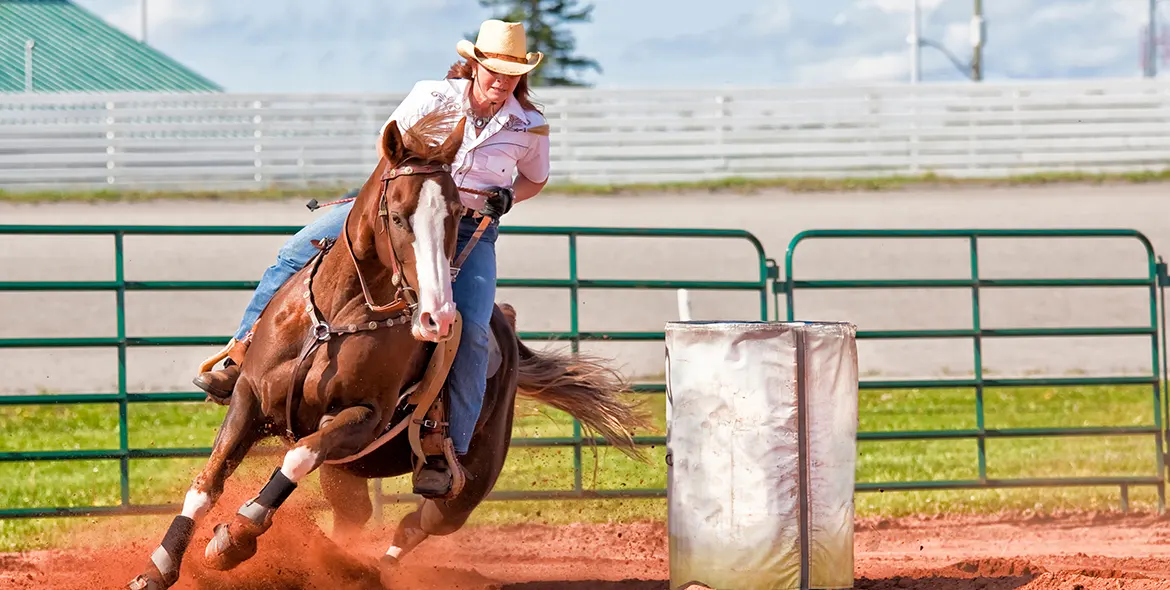 Équitation western